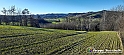 20230110_151634 - Dalla terra... il grano